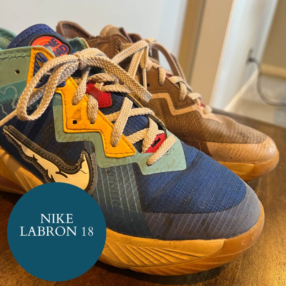 Nike Space Jam x LeBron 18 Low EP 'Wile E. x Roadrunner' CV7564-401